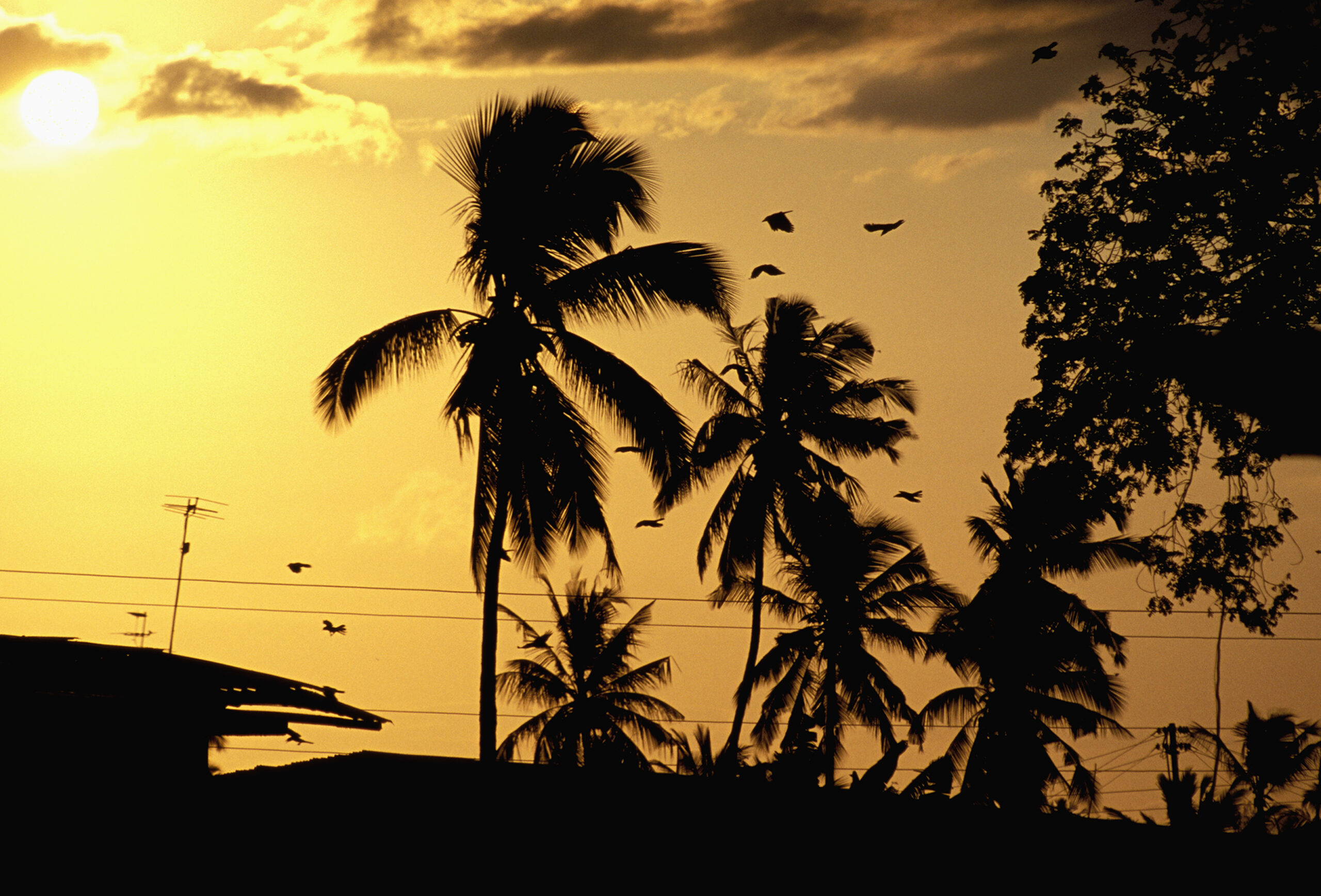 Malindi on Kenya’s Indian Ocean coast